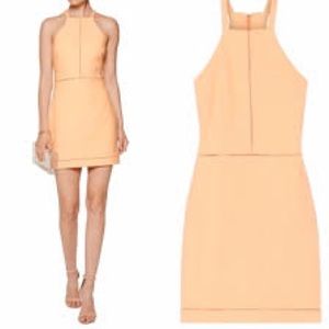 Elizabeth and James mini dress